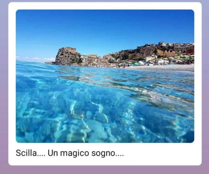 Photo of Others in Scilla