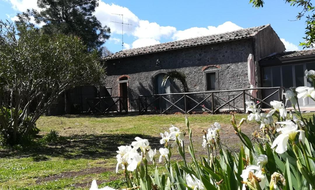 Photo of Others in Montelaguardia