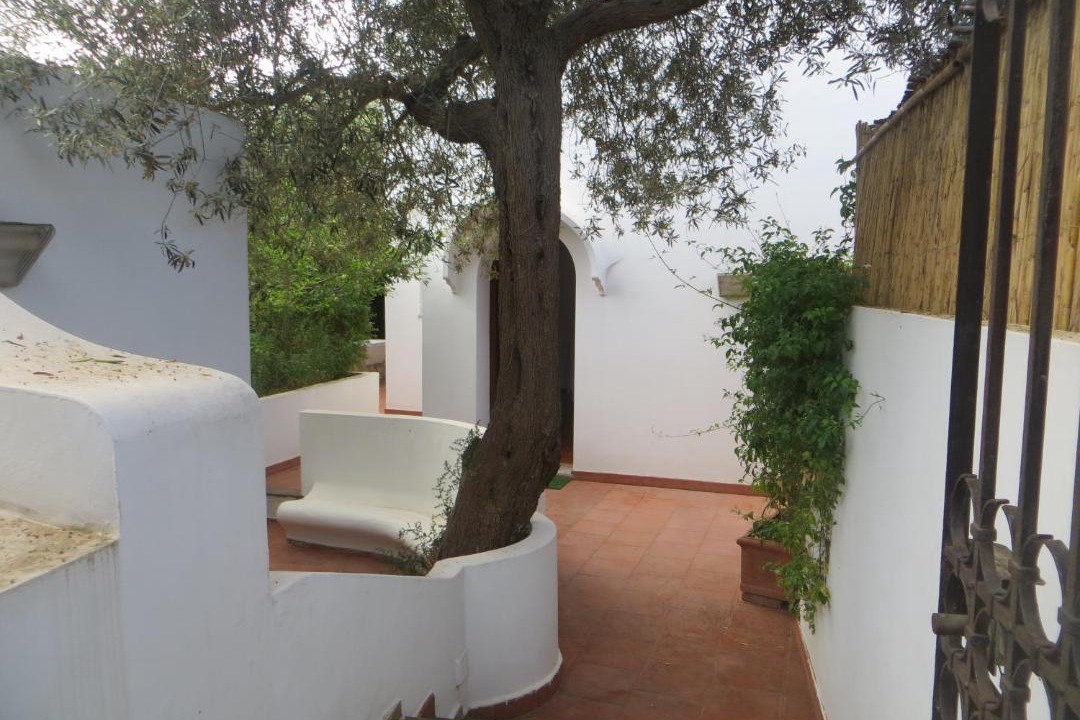Photo of Others in Anacapri