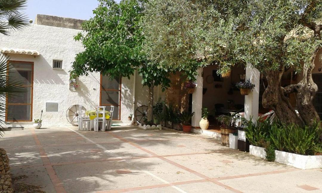 Photo of Others in Marsala