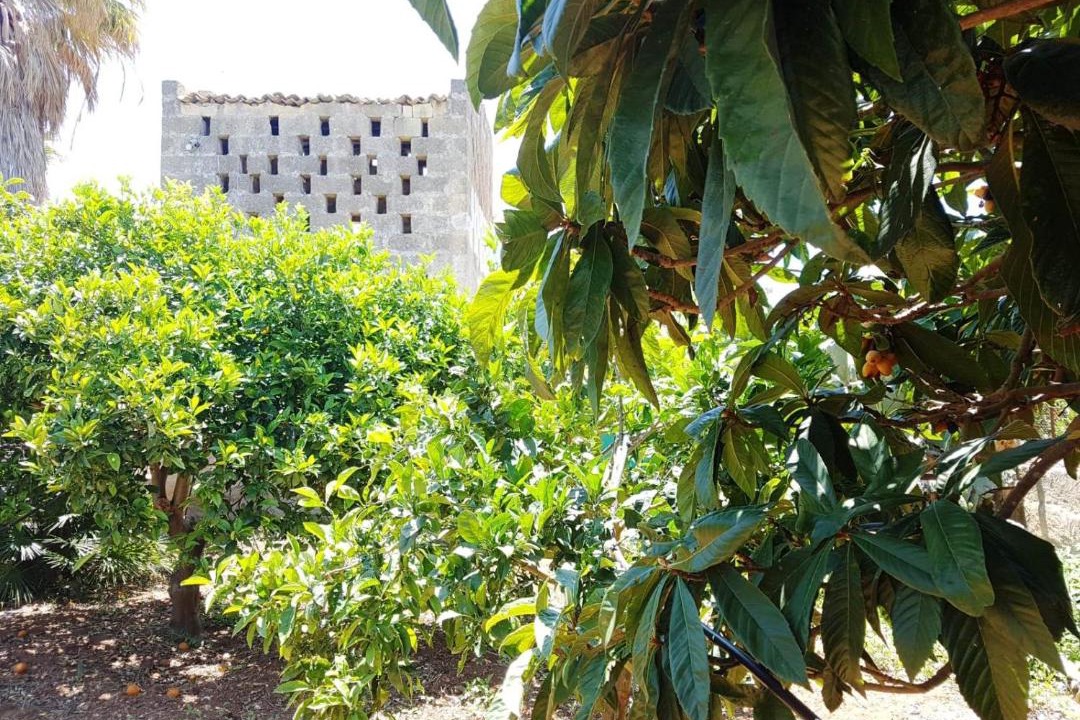Photo of Others in Marsala