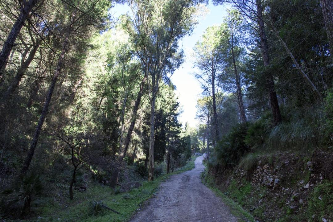 Photo of Others in Calatafimi
