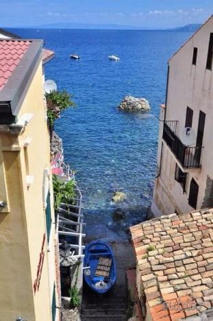 Photo of Others in Scilla