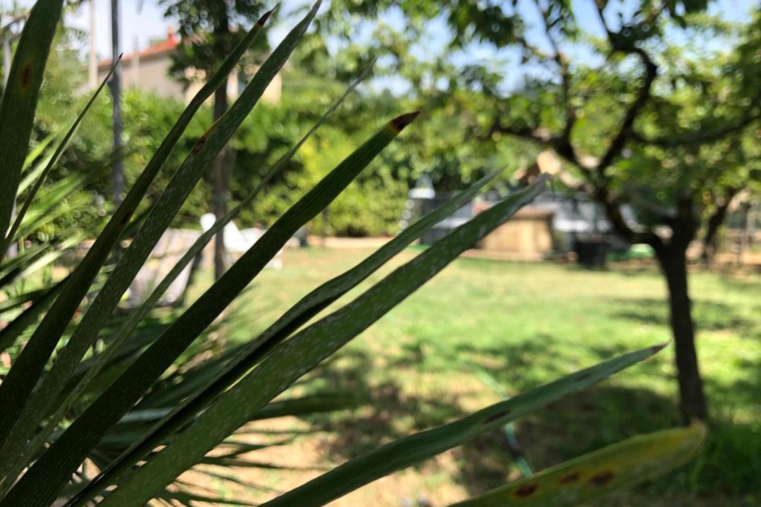 Photo of Outdoor in Arpaise