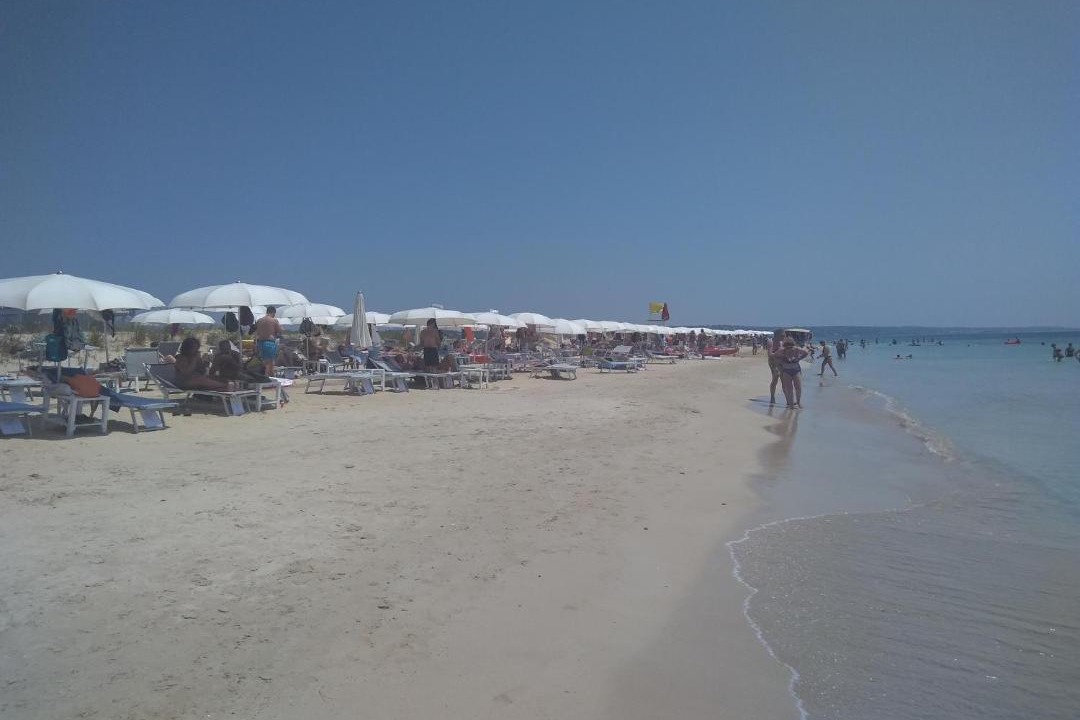 Photo of Others in Torre Vado