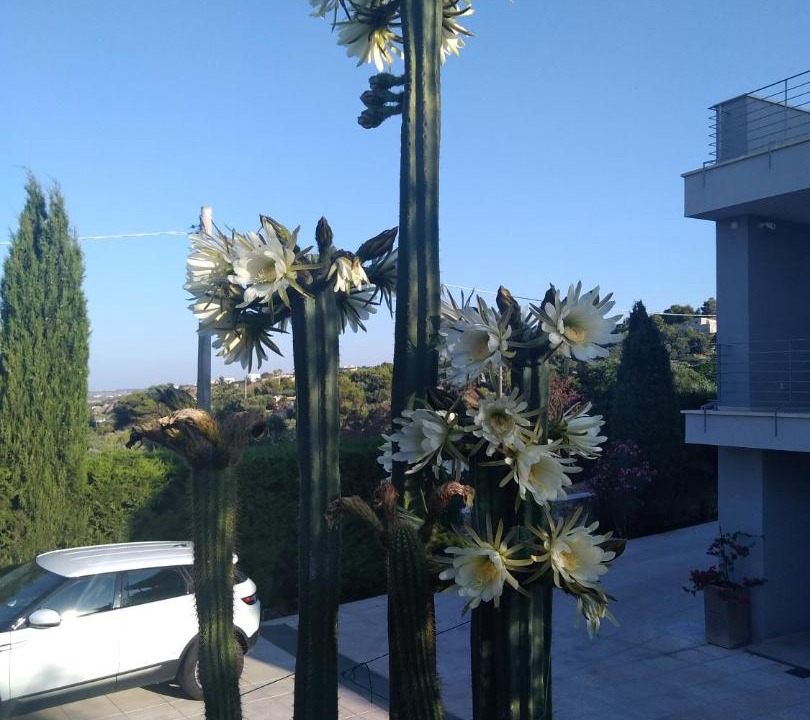 Photo of Others in Torre Vado