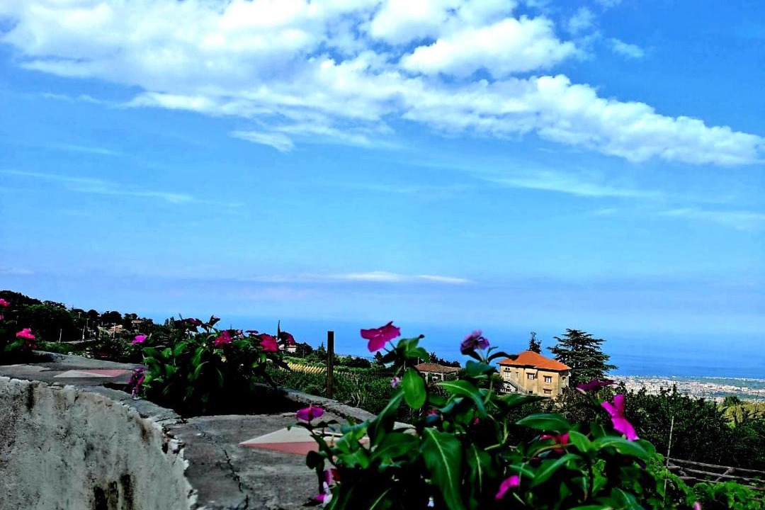 Photo of Others in Fornazzo