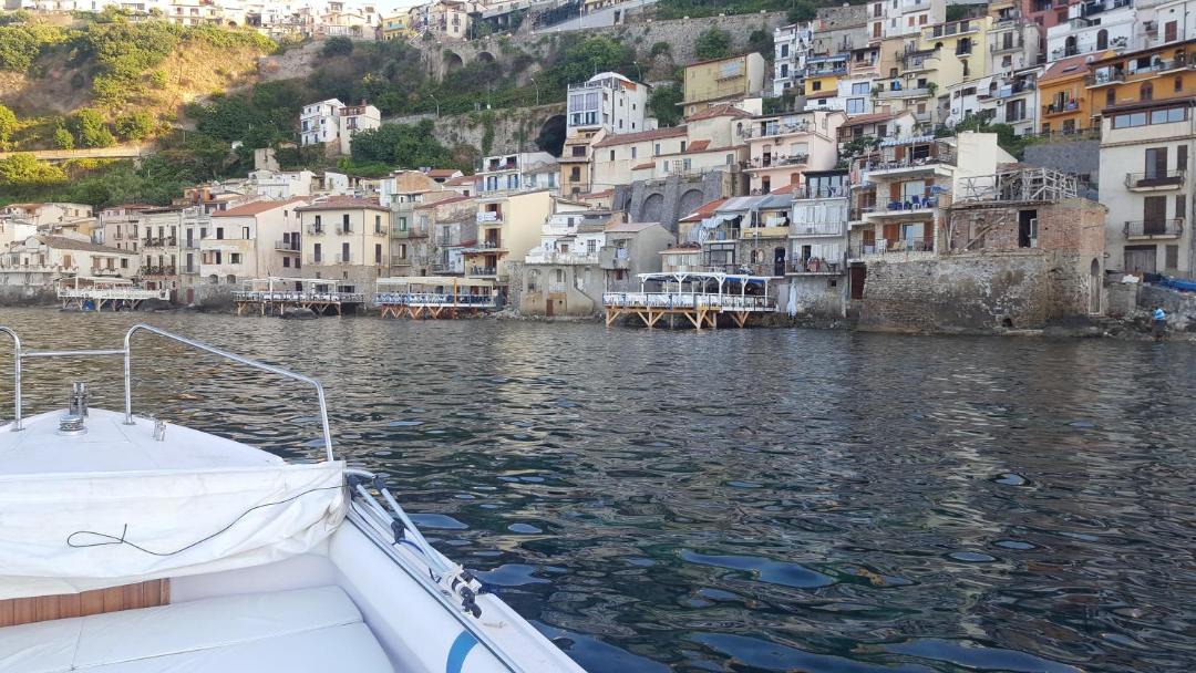 Photo of Others in Scilla