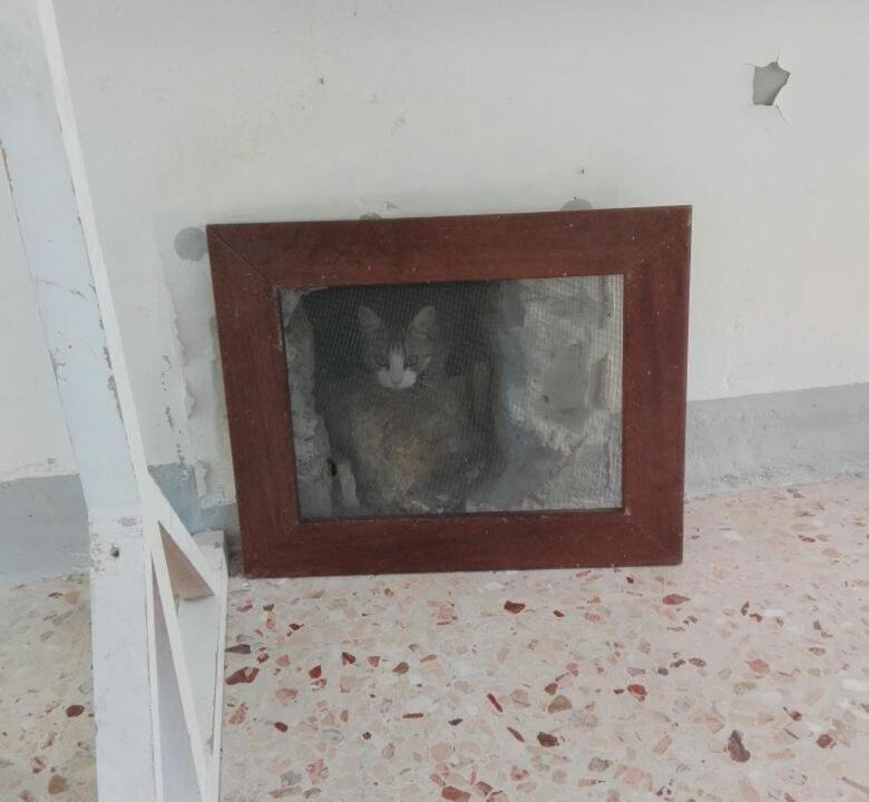 Photo of Others in Cianciana
