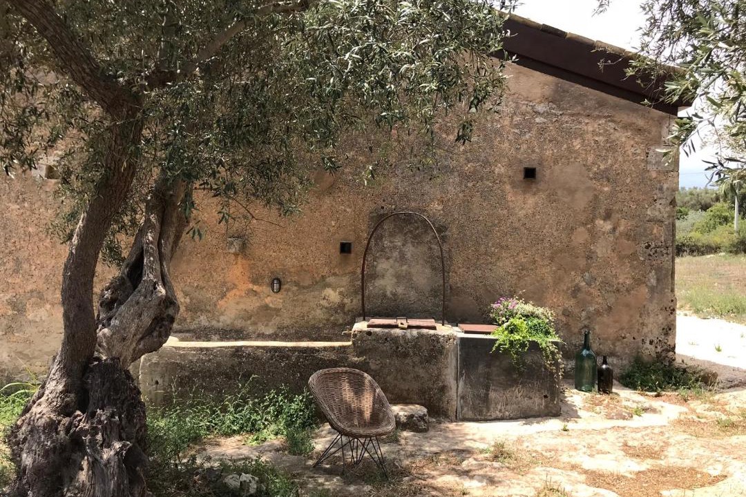 Photo of Others in Noto