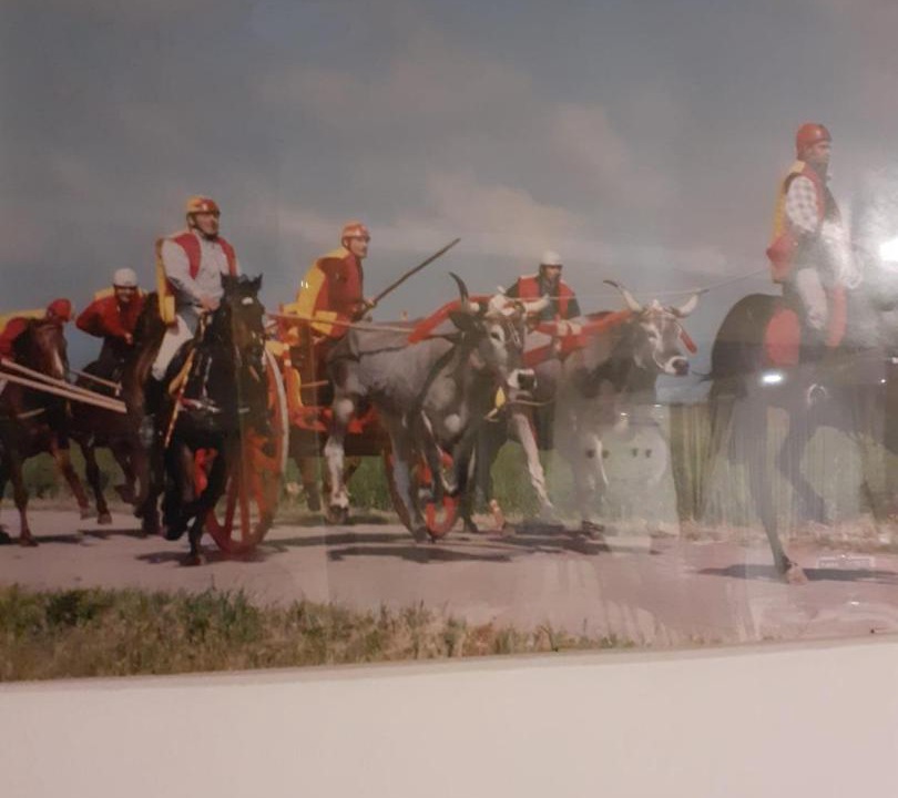 Photo of Others in San Martino in Pensilis