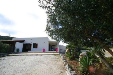 Photo of Others in San Vito Lo Capo