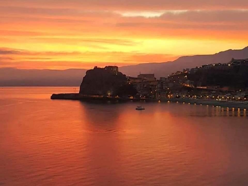 Photo of Others in Scilla