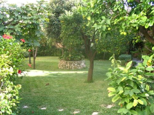 Photo of Outdoor in Avola