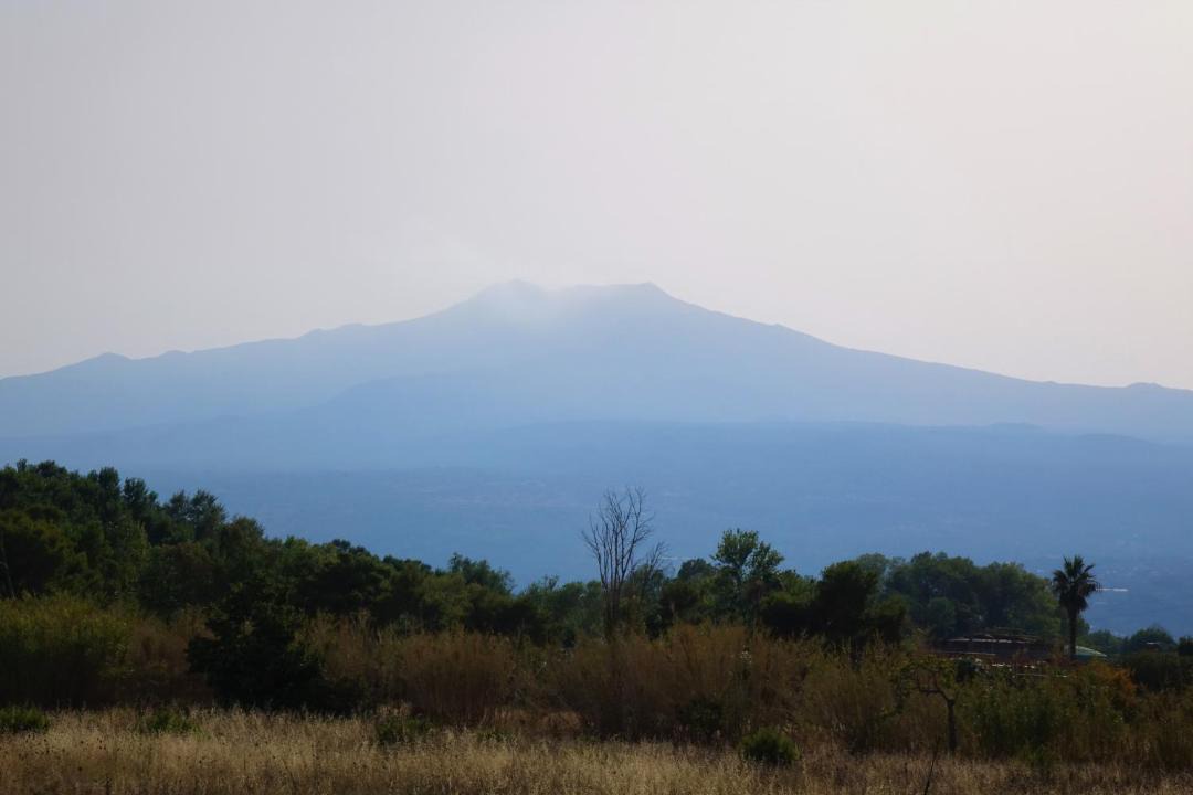 Photo of Outdoor in Porticato