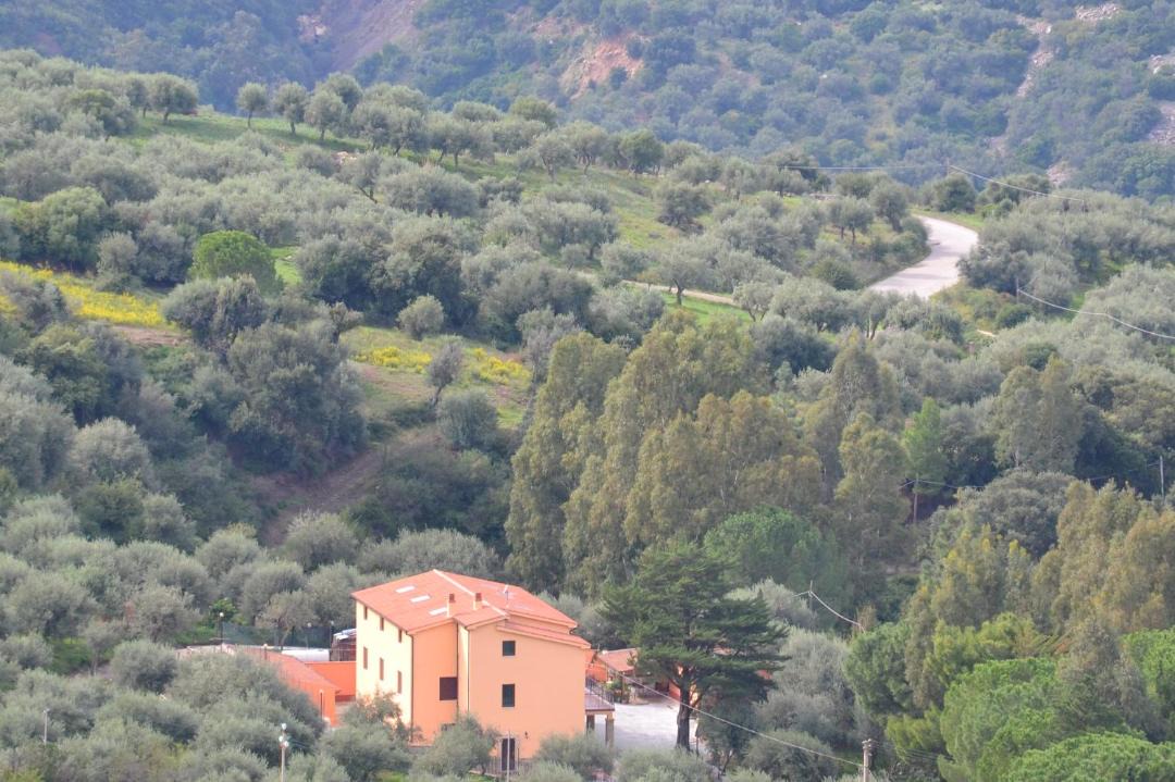 Photo of Others in San Mauro Castelverde