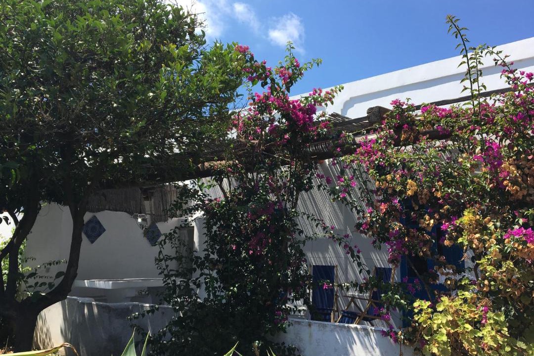 Photo of Others in Panarea