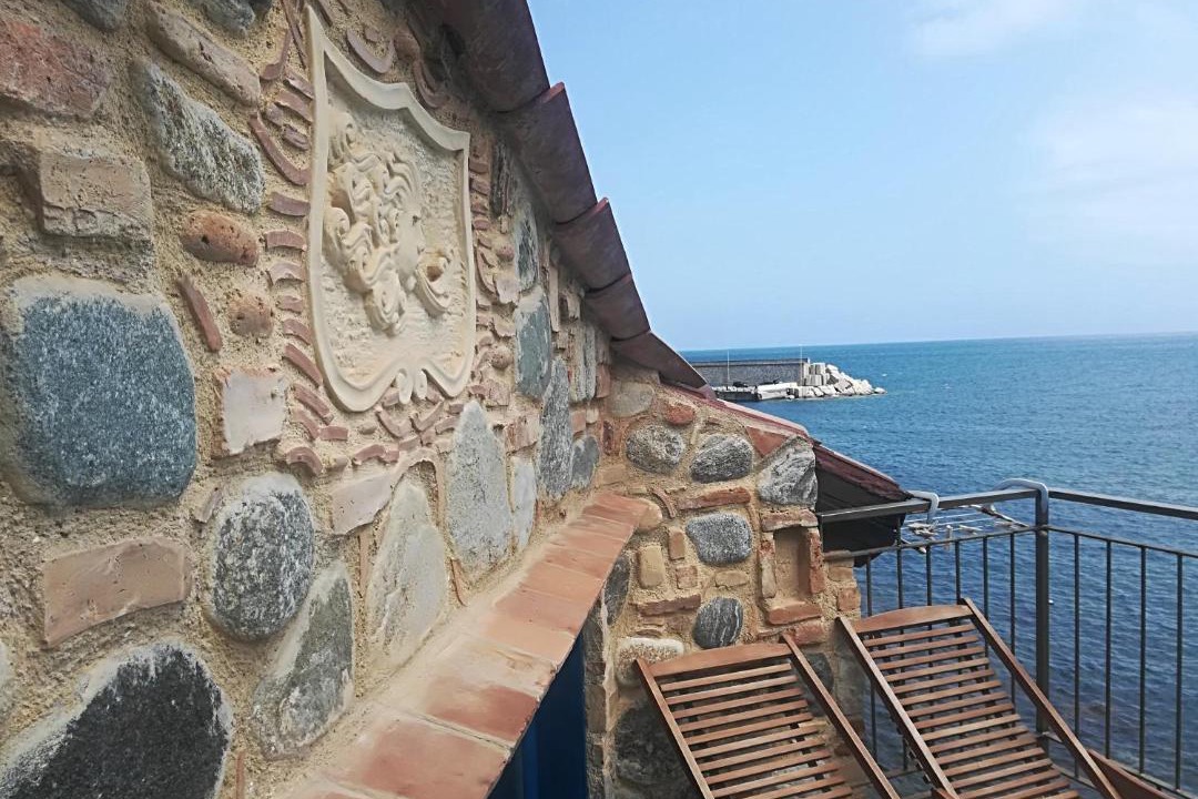 Photo of Others in Scilla