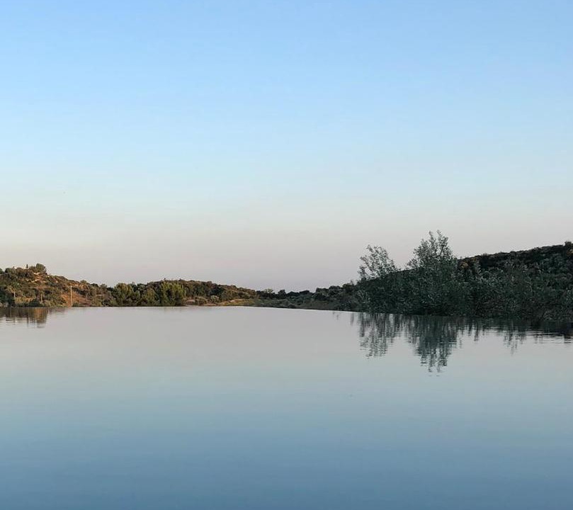 Photo of Others in Noto