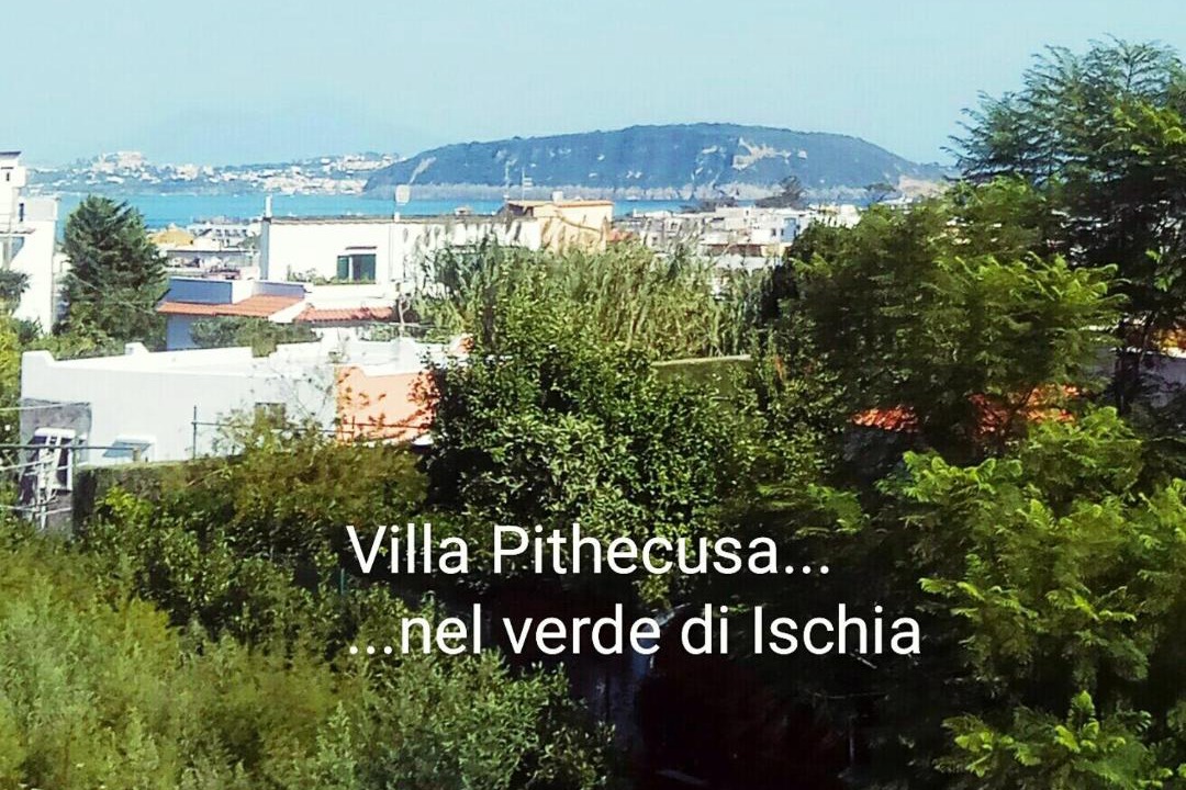 Photo of Others in Ischia Porto