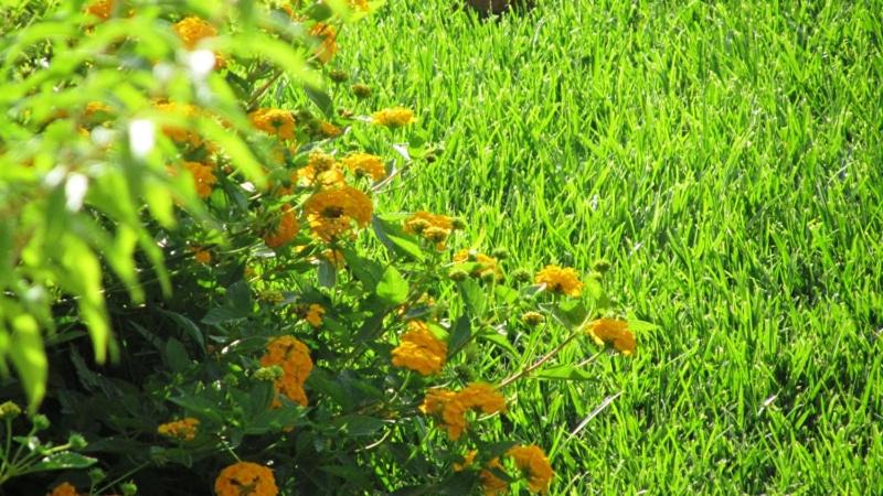 Photo of Outdoor in Casa Papa