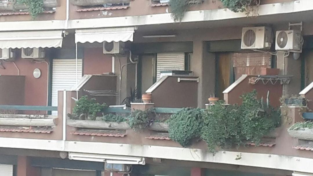 Photo of Others in Porticato