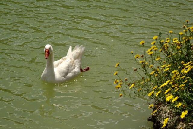 Photo of Others in Aragona