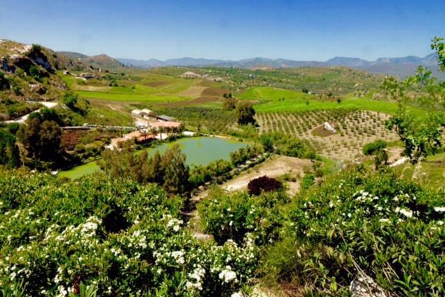 Photo of Others in Aragona