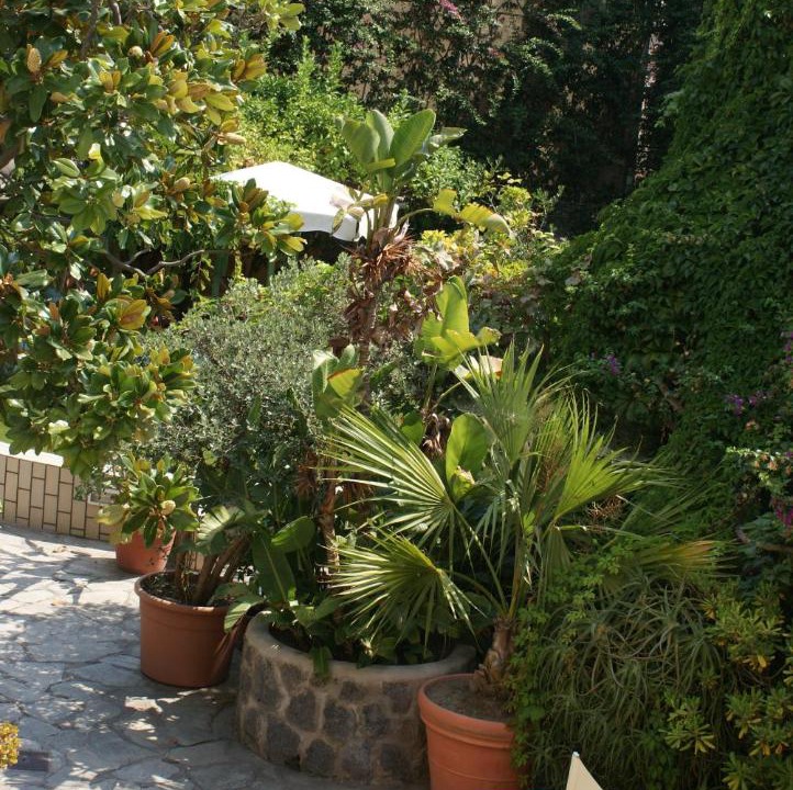 Photo of Others in Ischia Porto