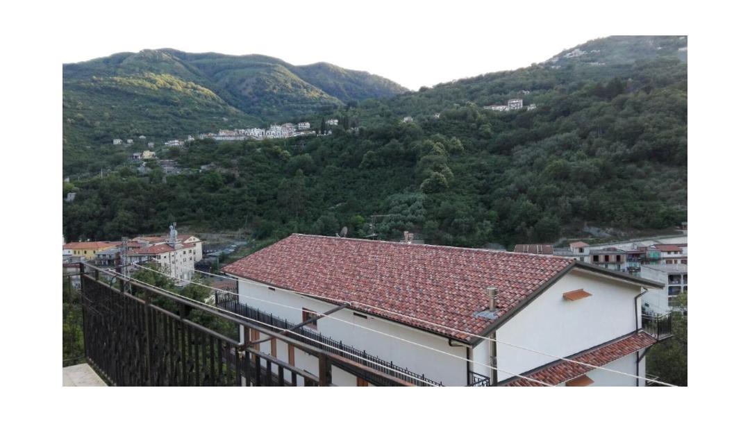 Photo of Others in Tortorici