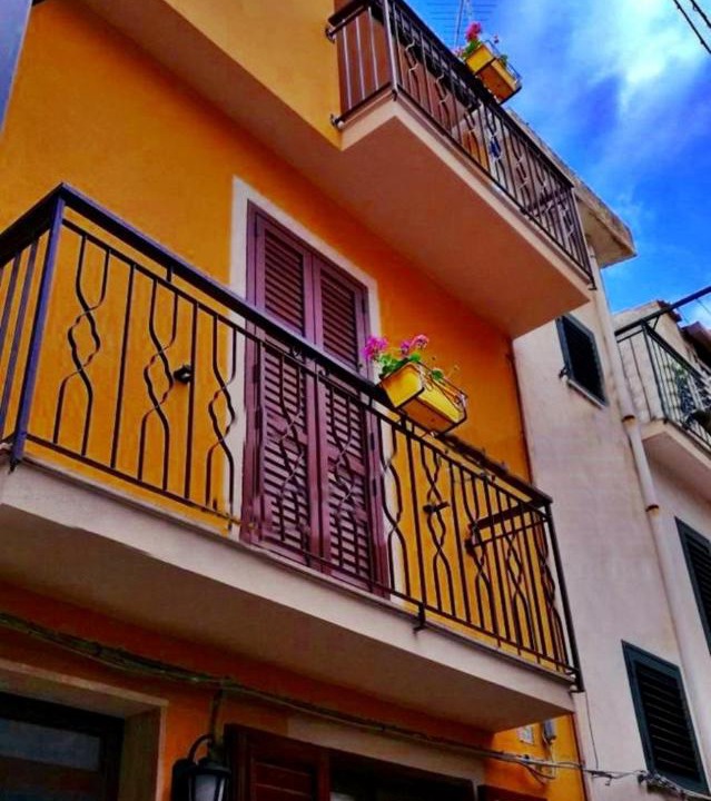 Photo of Others in Scilla