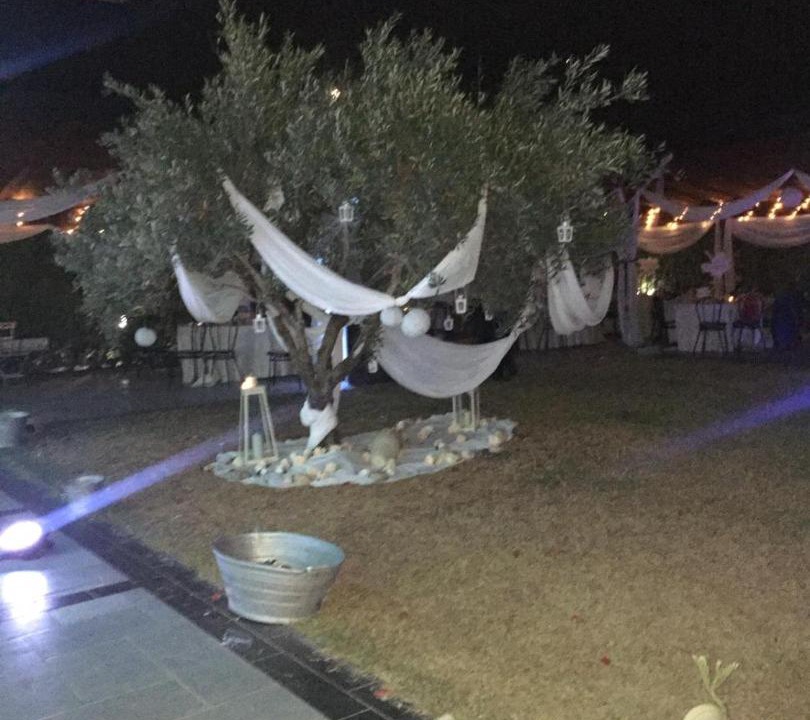 Photo of Others in Acquaviva Platani