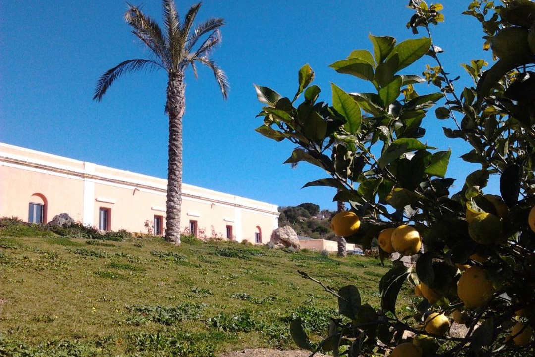 Photo of Others in Menfi