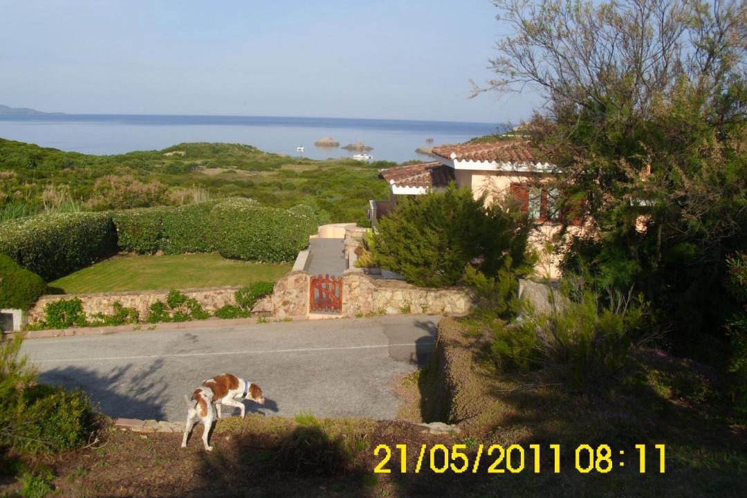 Photo of Others in Santa Teresa di Gallura