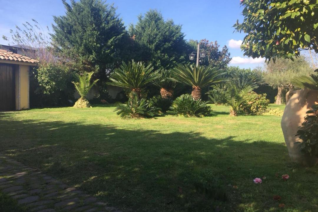 Photo of Others in Montoro