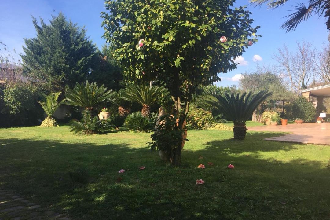 Photo of Outdoor in Montoro