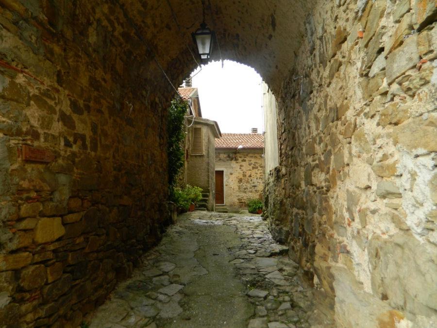 Photo of Others in Lustra