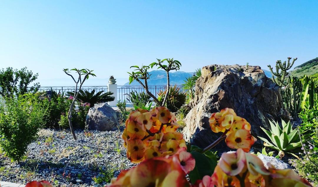Photo of Others in Lipari