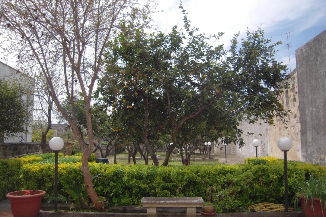 Photo of Others in Sanarica
