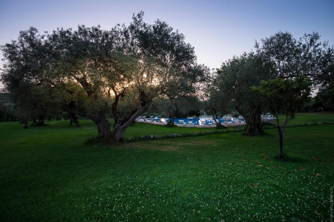Photo of Others in Noto