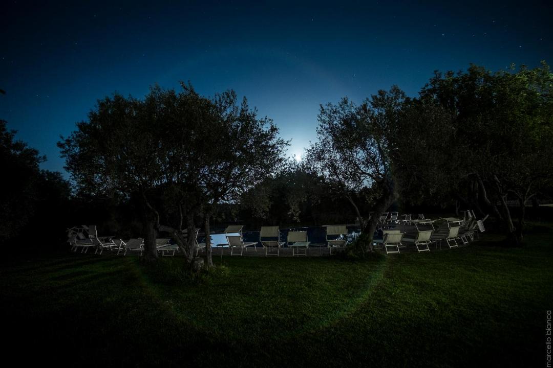 Photo of Others in Noto