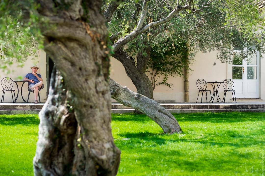 Photo of Others in Noto
