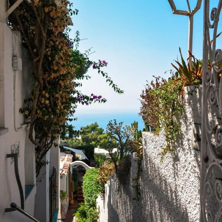 Photo of Others in Capri