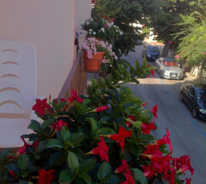 Photo of Others in Tropea