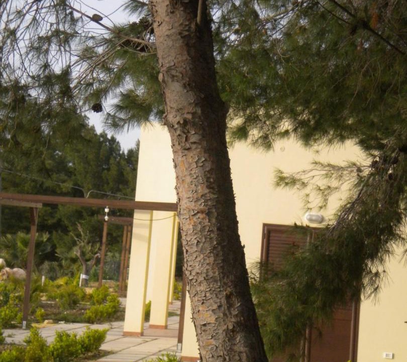 Photo of Others in Porto Palo