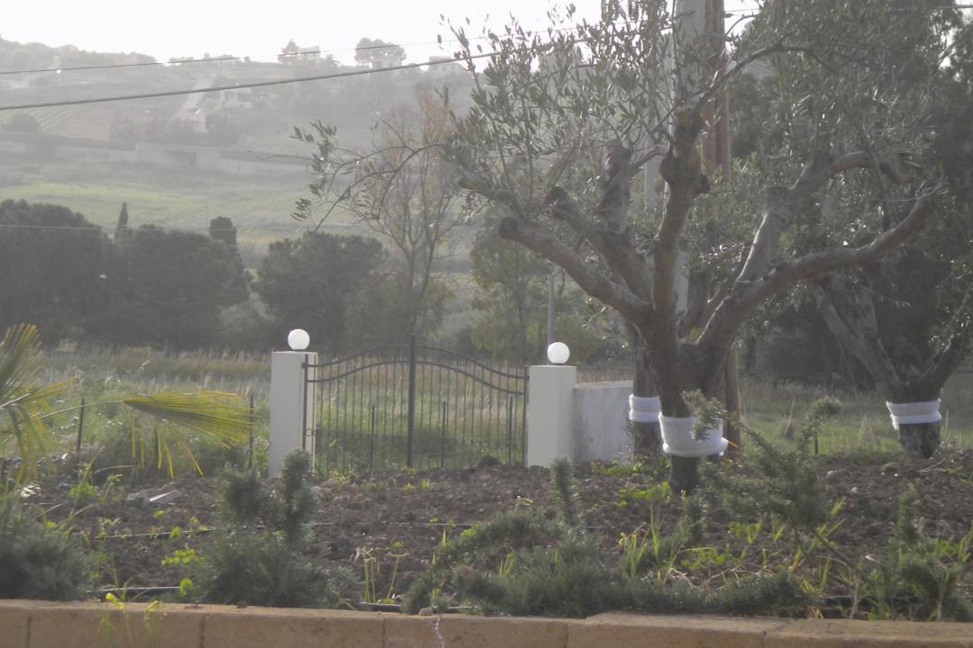Photo of Others in Porto Palo