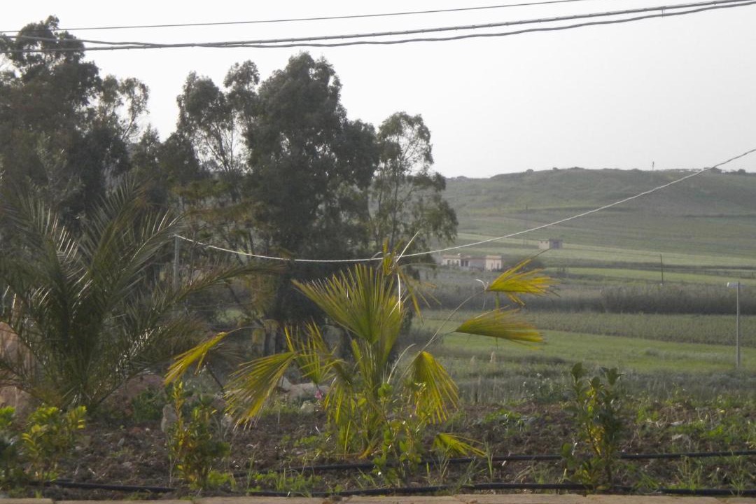 Photo of Others in Porto Palo