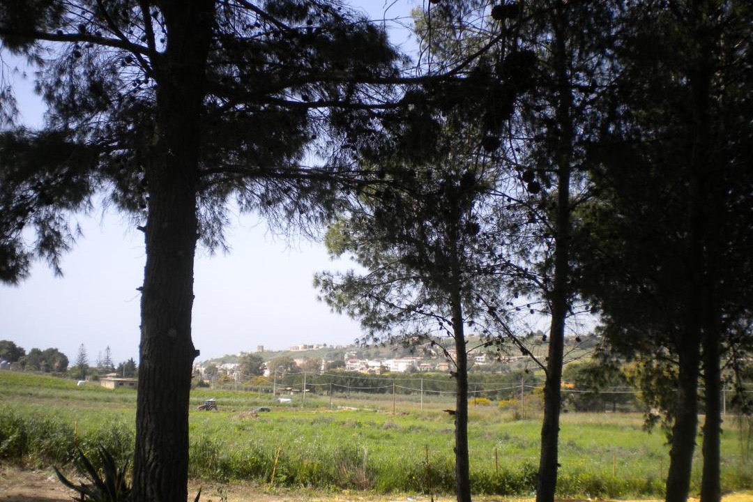 Photo of Others in Porto Palo