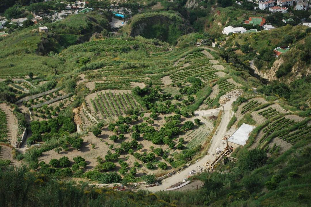 Photo of Others in Panza
