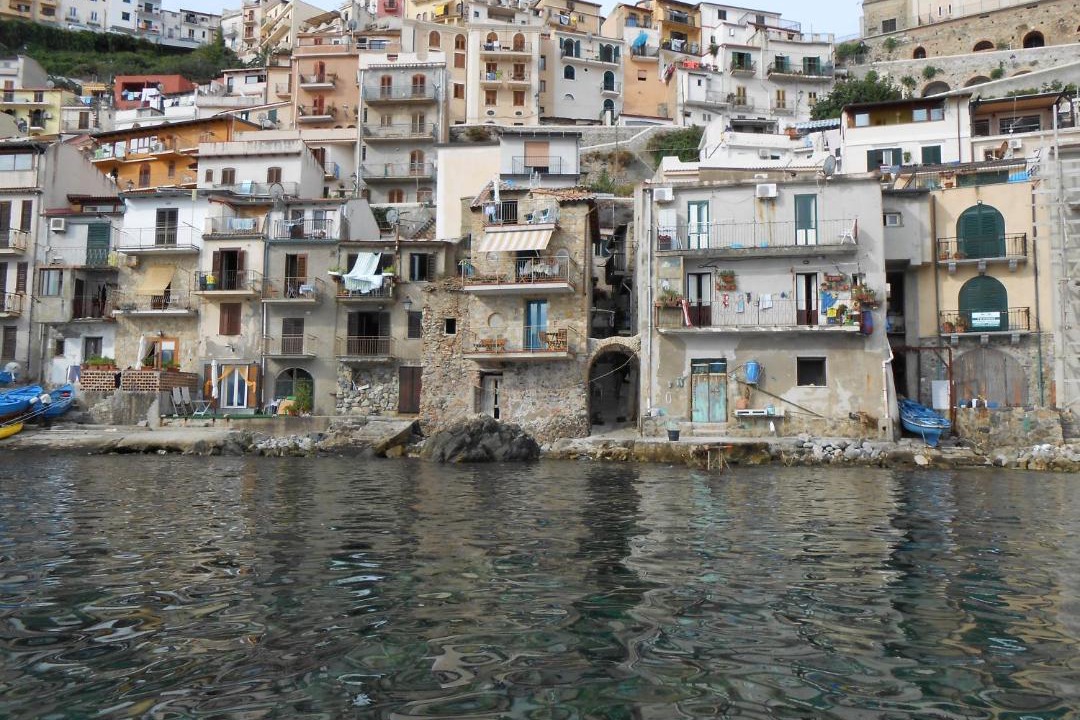 Photo of Others in Scilla